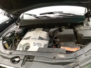 Hyundai Santa Fe 2007 Gray