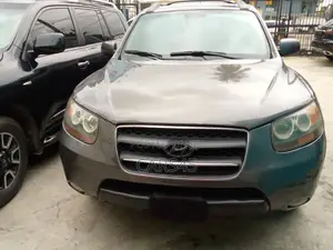 Hyundai Santa Fe 2007 Gray