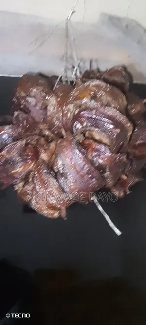Sole Fish(eja Abo)