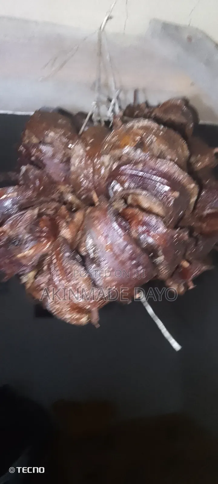 Sole Fish(eja Abo)