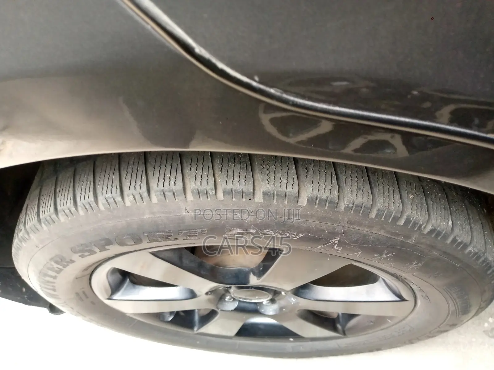 Hyundai Santa Fe 2007 Gray