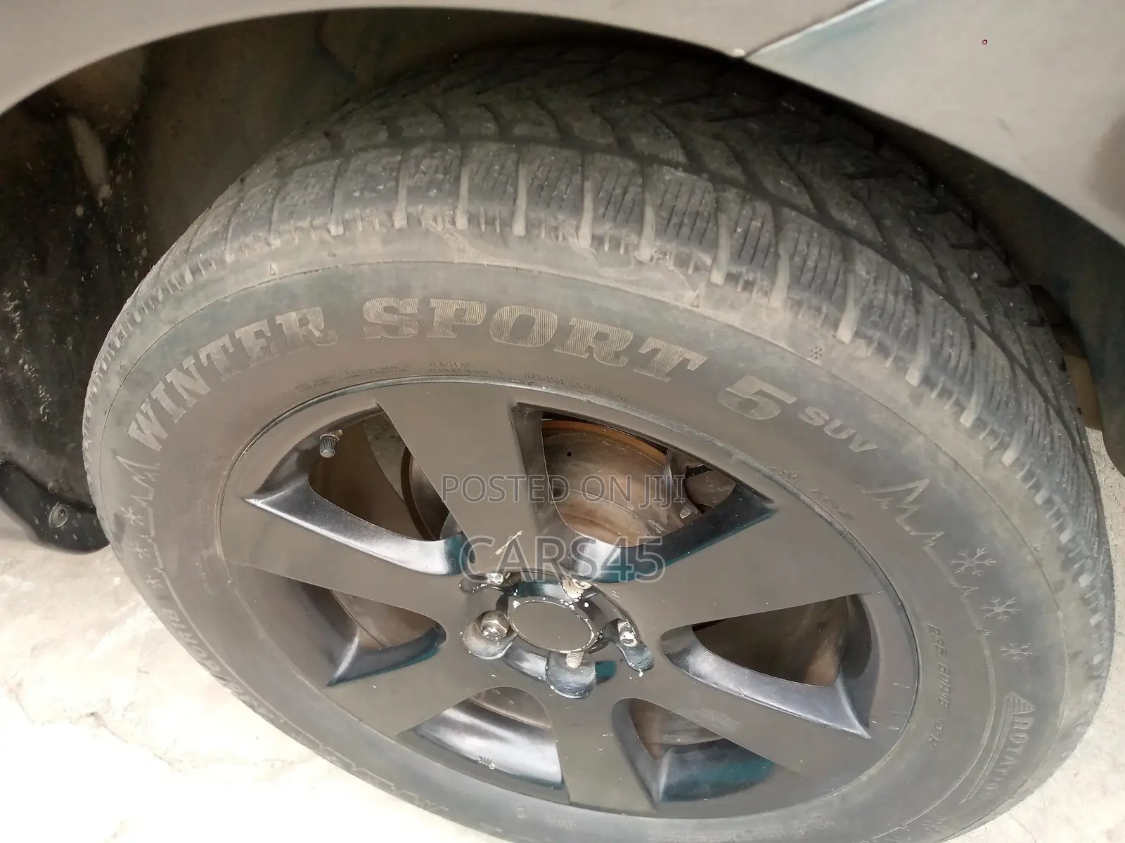 Hyundai Santa Fe 2007 Gray