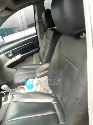 Hyundai Santa Fe 2007 Gray