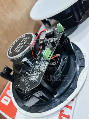 Bluetooth Ceiling Speaker