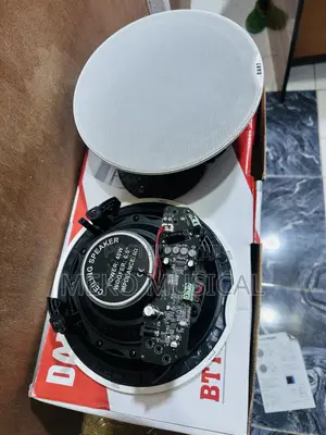 Bluetooth Ceiling Speaker