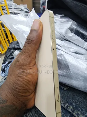 Newest iPhone