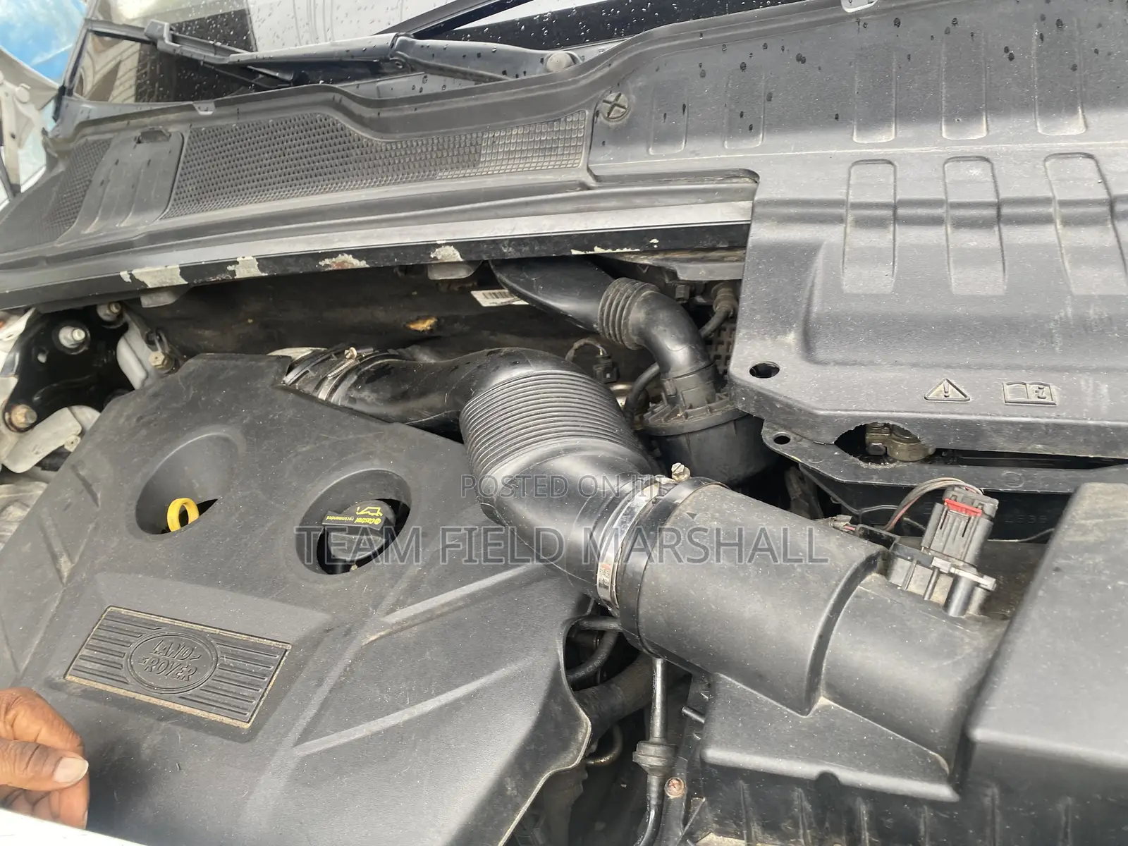 Land Rover Range Rover Evoque 2015 White