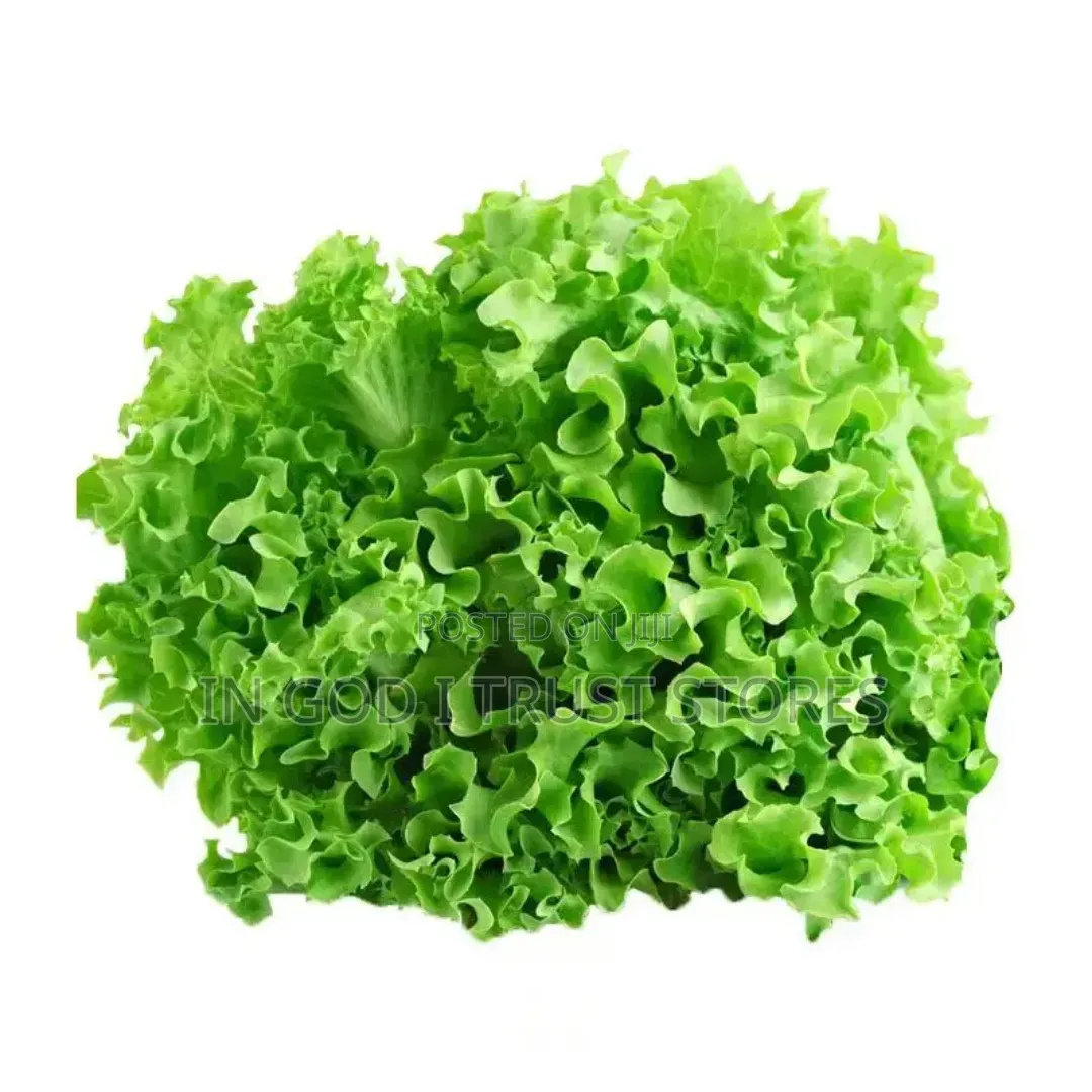 Lettuce Seed