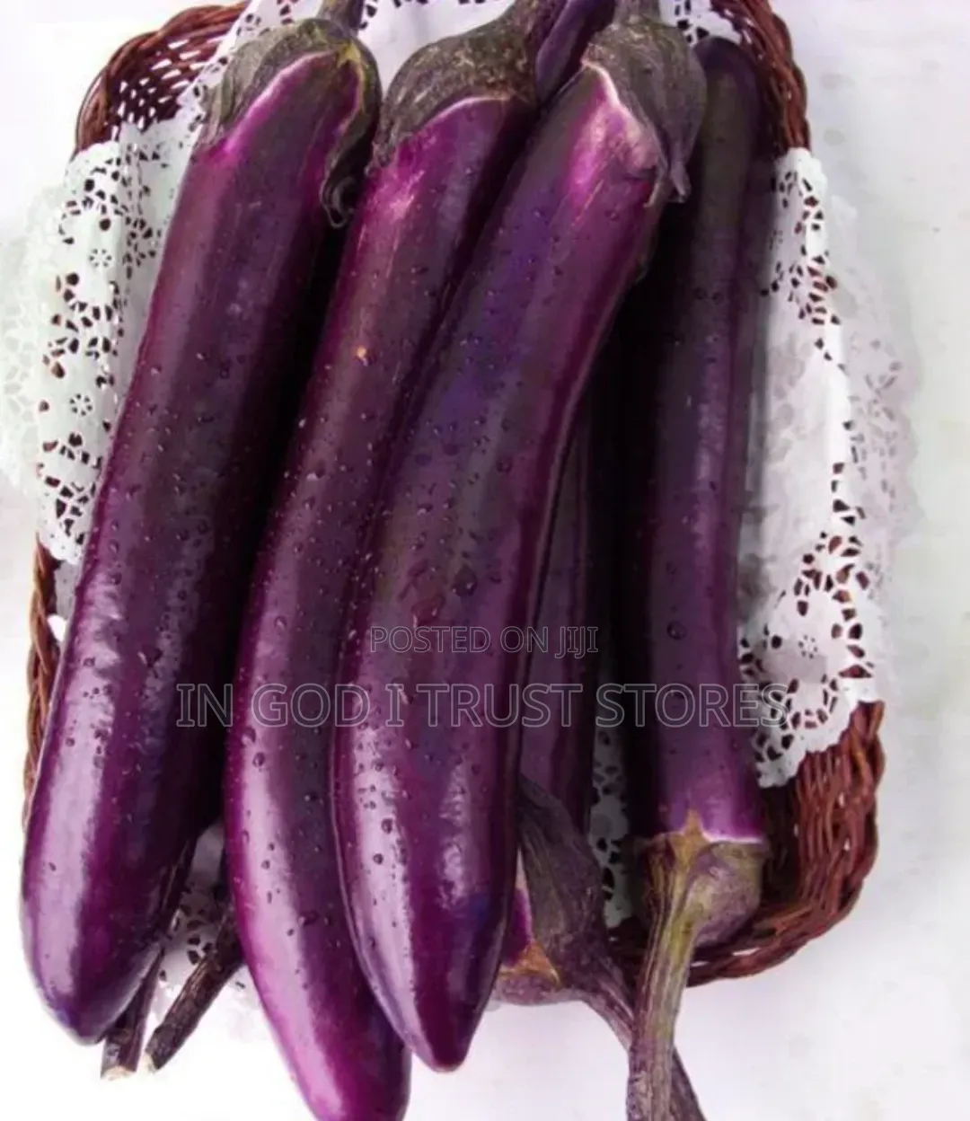 Eggplant Seed
