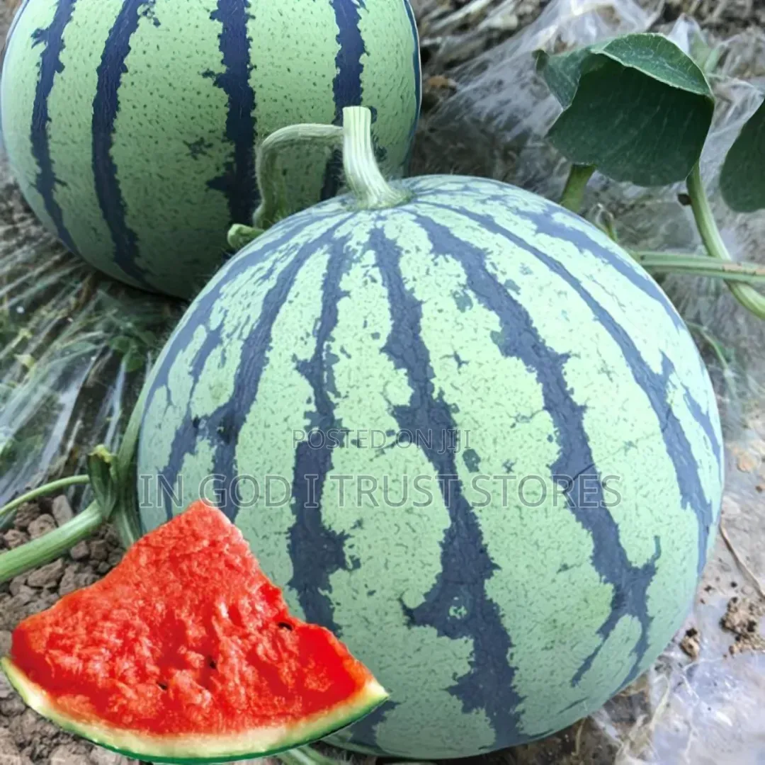 Watermelon Seeds