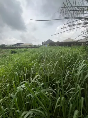 Two Full Plot of Land