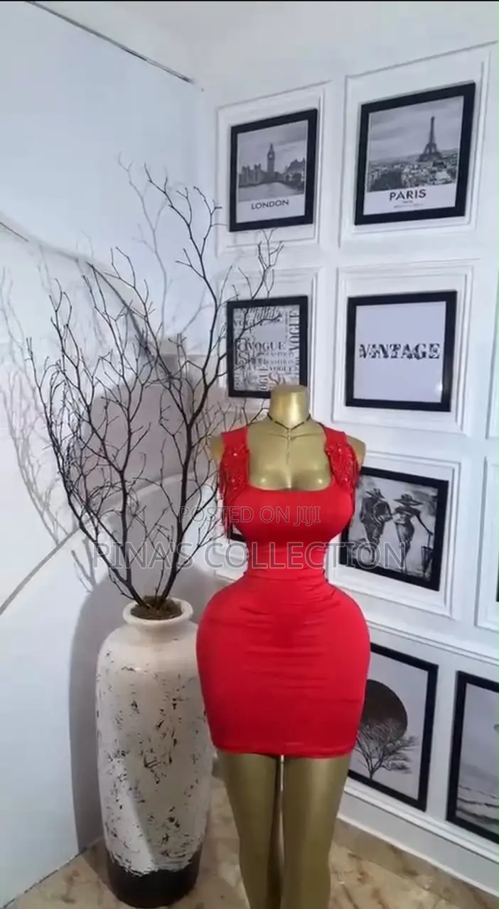 Gown for Ladies