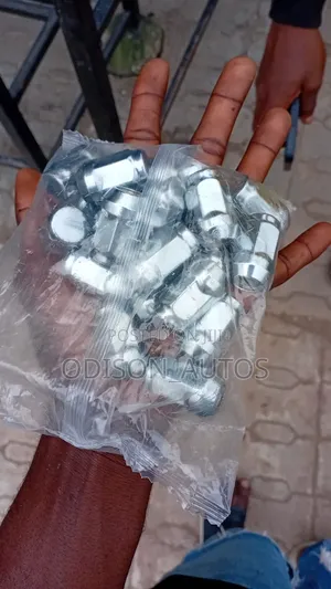 Wheel Nuts Available in Any Vehicle
