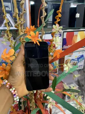 Apple iPhone 12 Pro 256 GB Black