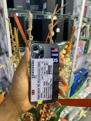 Apple iPhone 12 Pro 256 GB Black