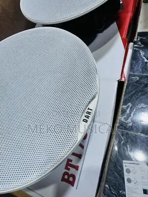 Bluetooth Ceiling Speaker