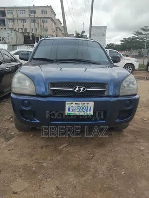 Hyundai Tucson 2007 Blue