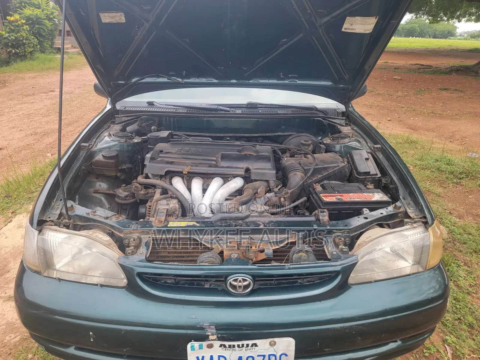 Toyota Corolla 2000 Green