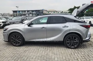 Lexus RX 2024 Gray