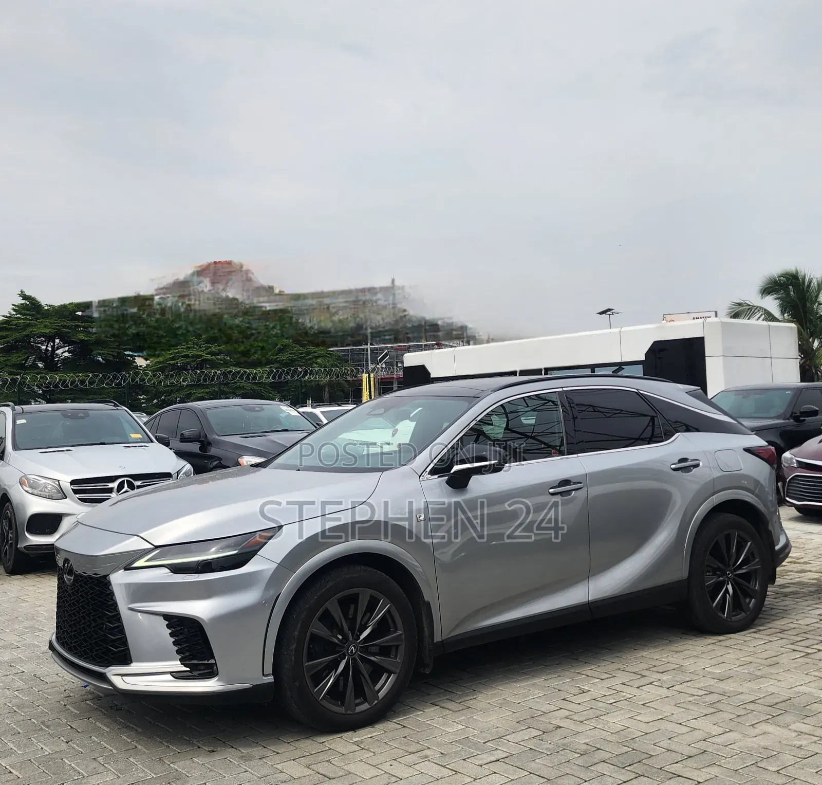 Lexus RX 2024 Gray