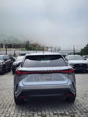 Lexus RX 2024 Gray