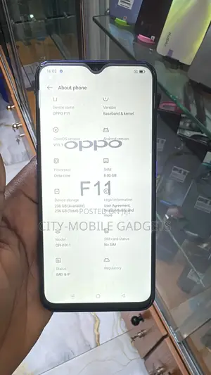 Oppo F11 256 GB Purple