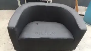 Double Sofa Parlor Chair