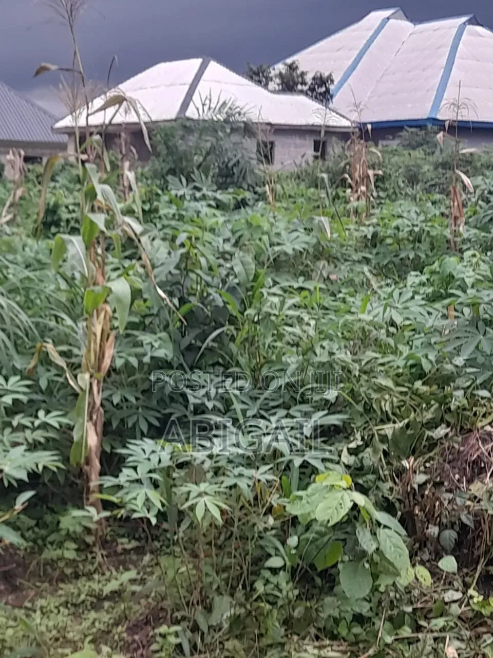 One Plot of Land