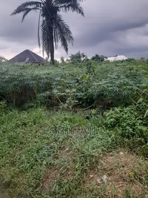 One Plot of Land