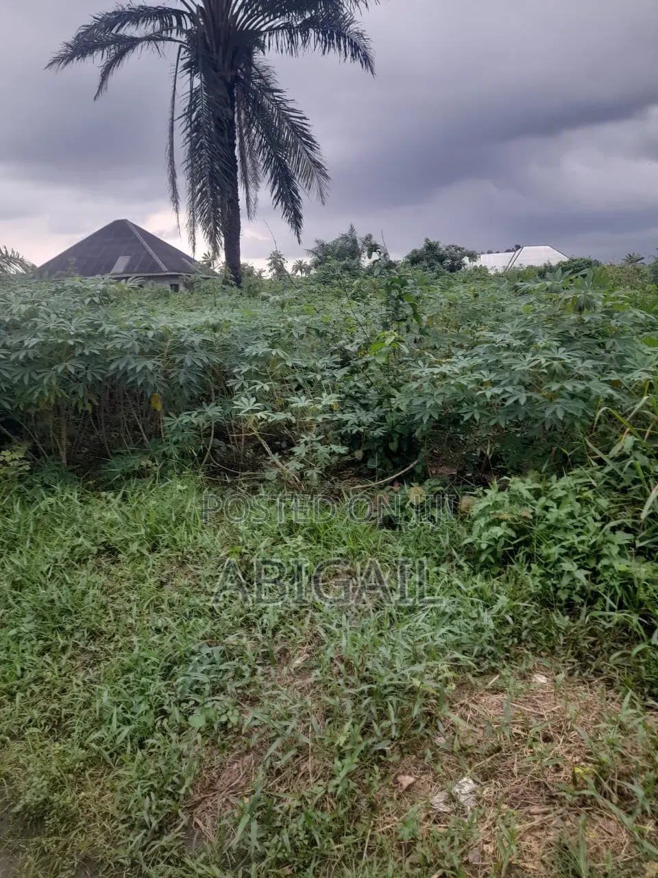 One Plot of Land