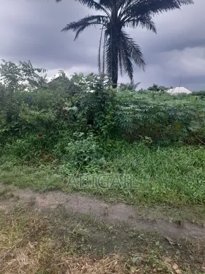 One Plot of Land