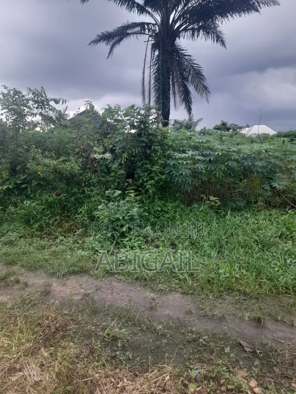 One Plot of Land