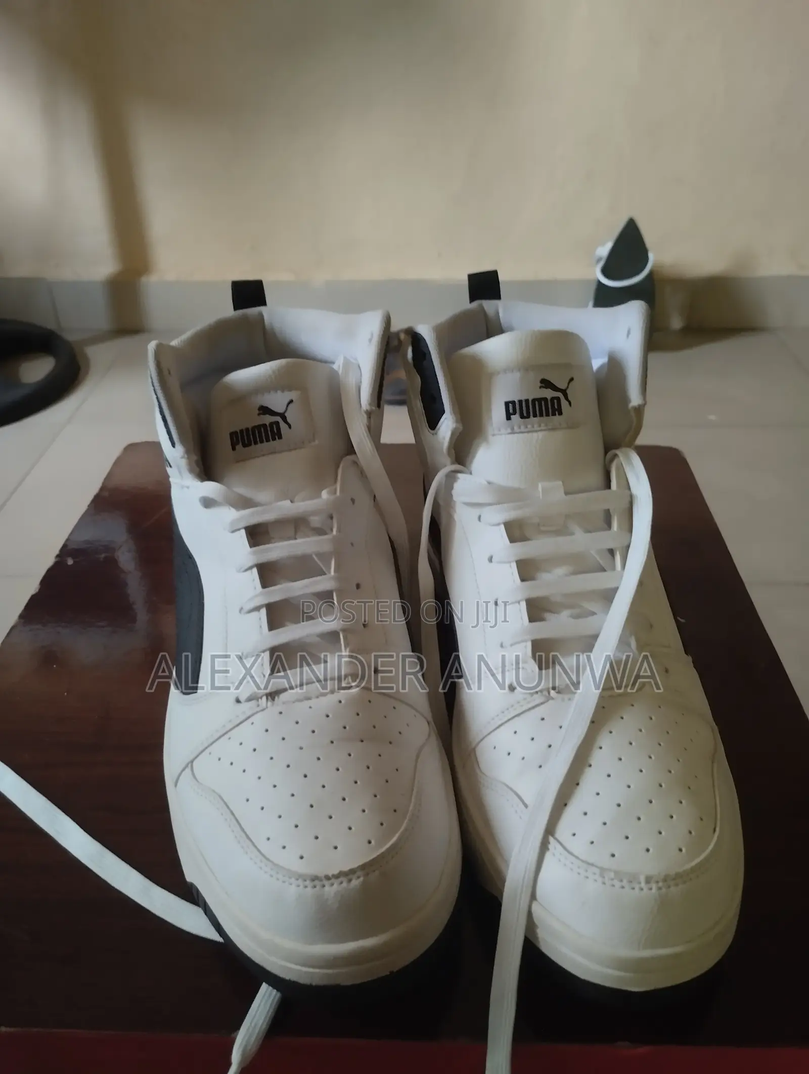 Puma for Sale