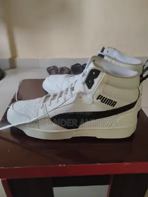 Puma for Sale