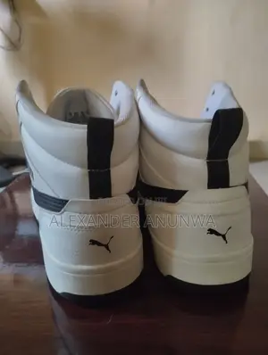 Puma for Sale