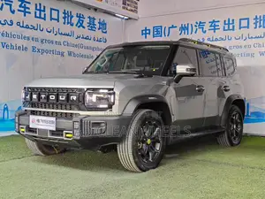 New Jetour T2 2.0 Petrol AWD 2025 Gray