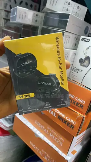The Songsim W-380 Wireless in Ear
