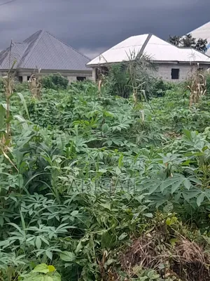 One Plot of Land