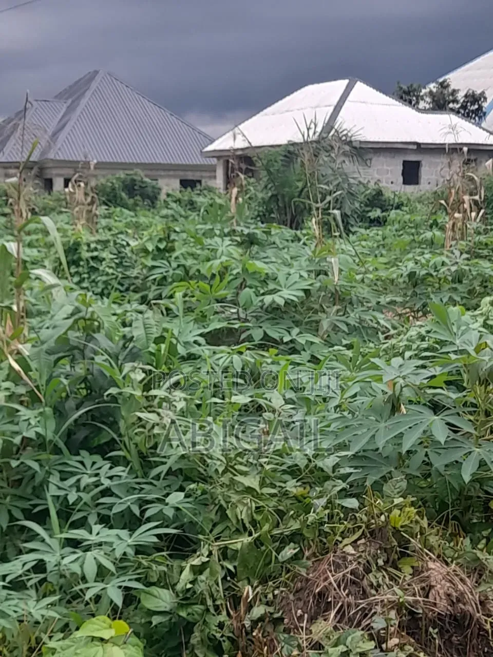 One Plot of Land