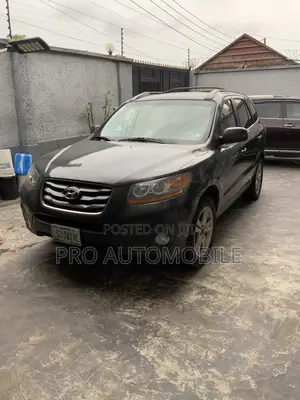 Hyundai Santa Fe 2010 Gray