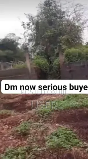 Lease of Land or Outright Sales