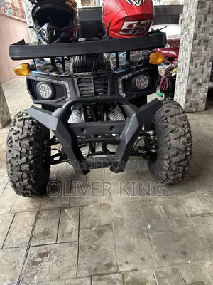 New Big Dog 2025 Blue