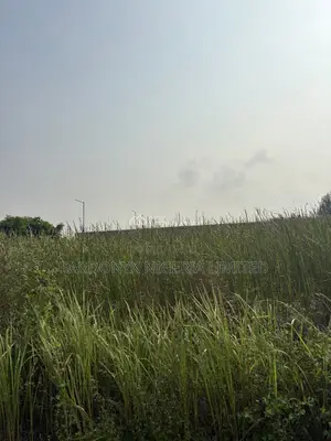 Fully Serviced Waterfront Plots Phase 2