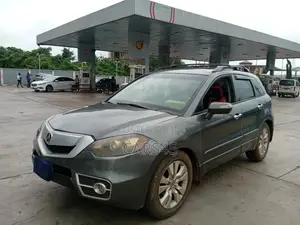 Acura RDX 2010 Gray