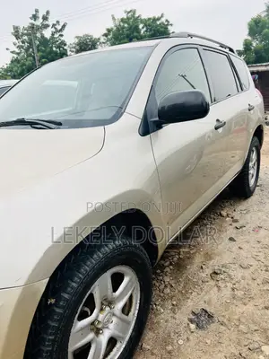 Toyota RAV4 2008 Gold