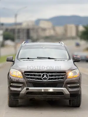 Mercedes-Benz M Class 2014 Gray