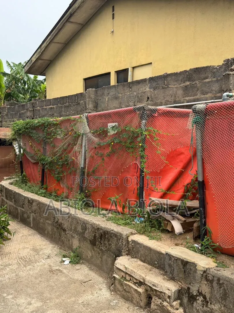 Fish Pond for Fish