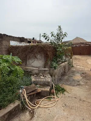 Fish Pond for Fish