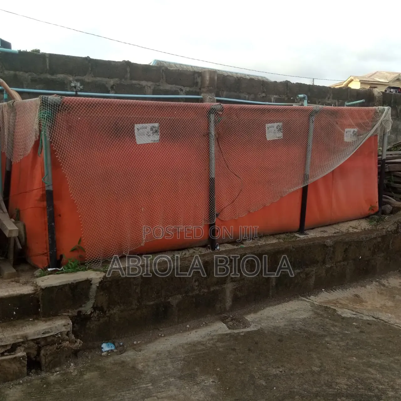 Fish Pond for Fish