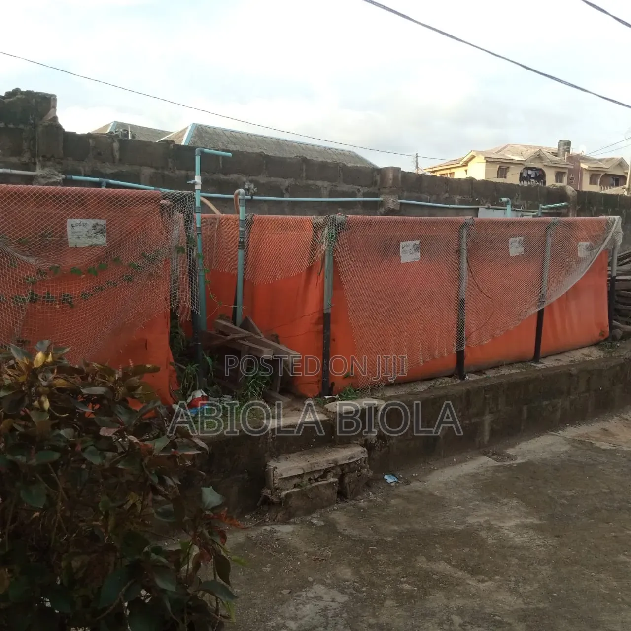 Fish Pond for Fish
